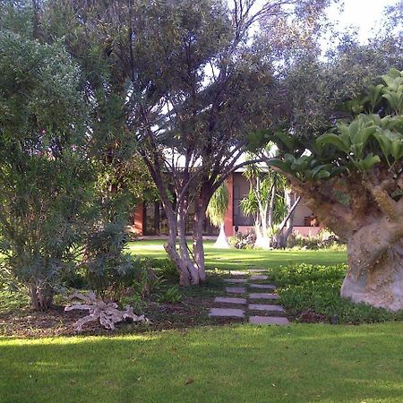 Buschberg Guest Farm Βίλα Outjo Εξωτερικό φωτογραφία