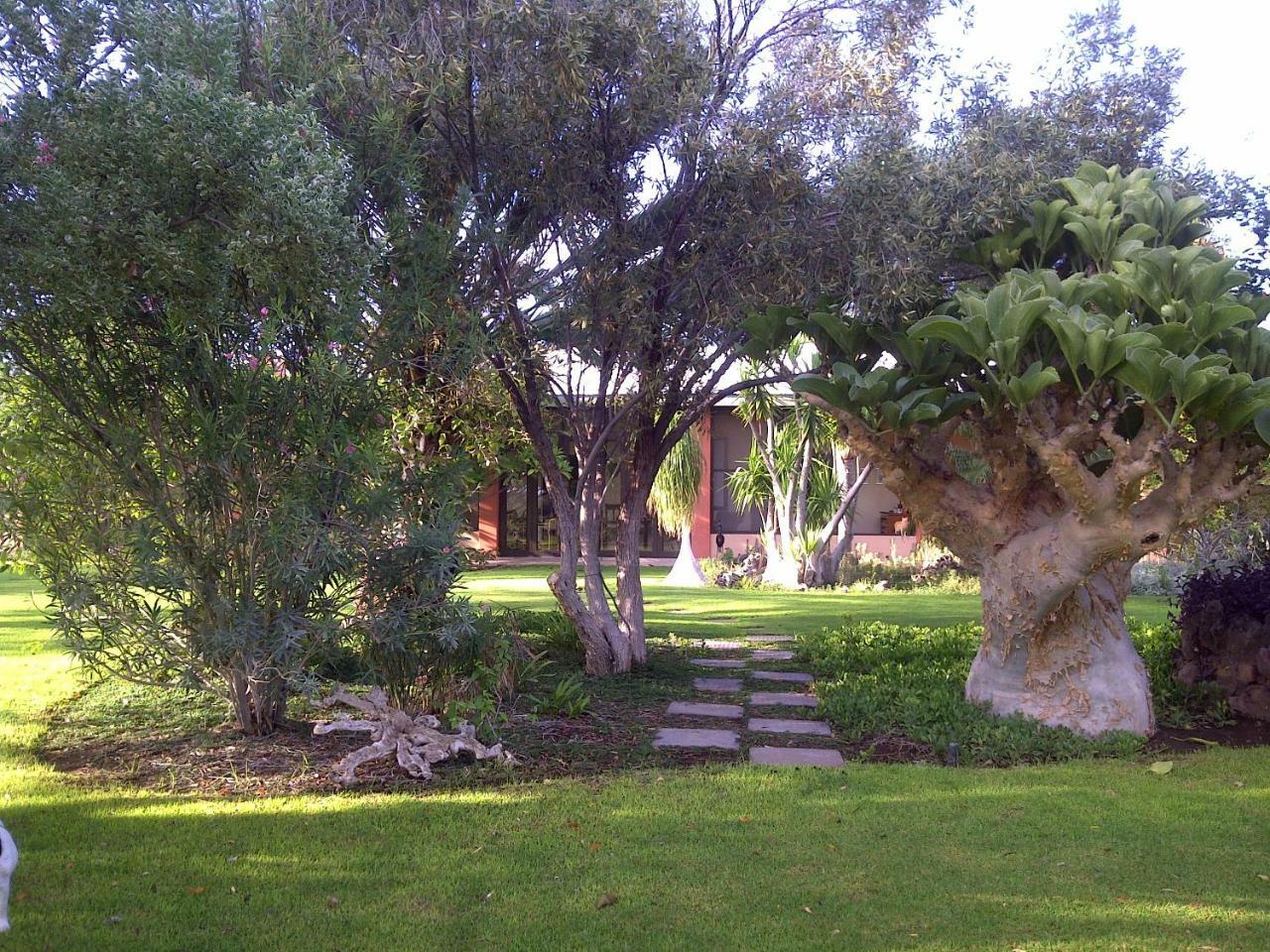 Buschberg Guest Farm Βίλα Outjo Εξωτερικό φωτογραφία